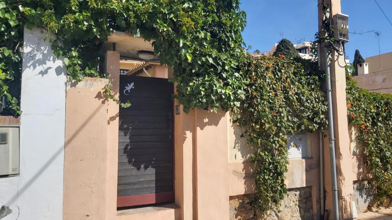 Del Parque Flats Pina Beach Μάλαγα Εξωτερικό φωτογραφία